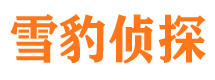 施秉市调查公司